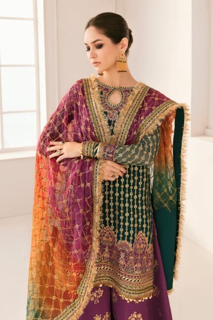 CH11-06 Embroidered Chiffon